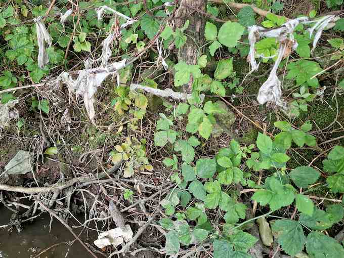 2025_08_23_lingettes101435_m680.jpg